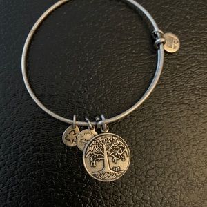 alex and ani bracelet